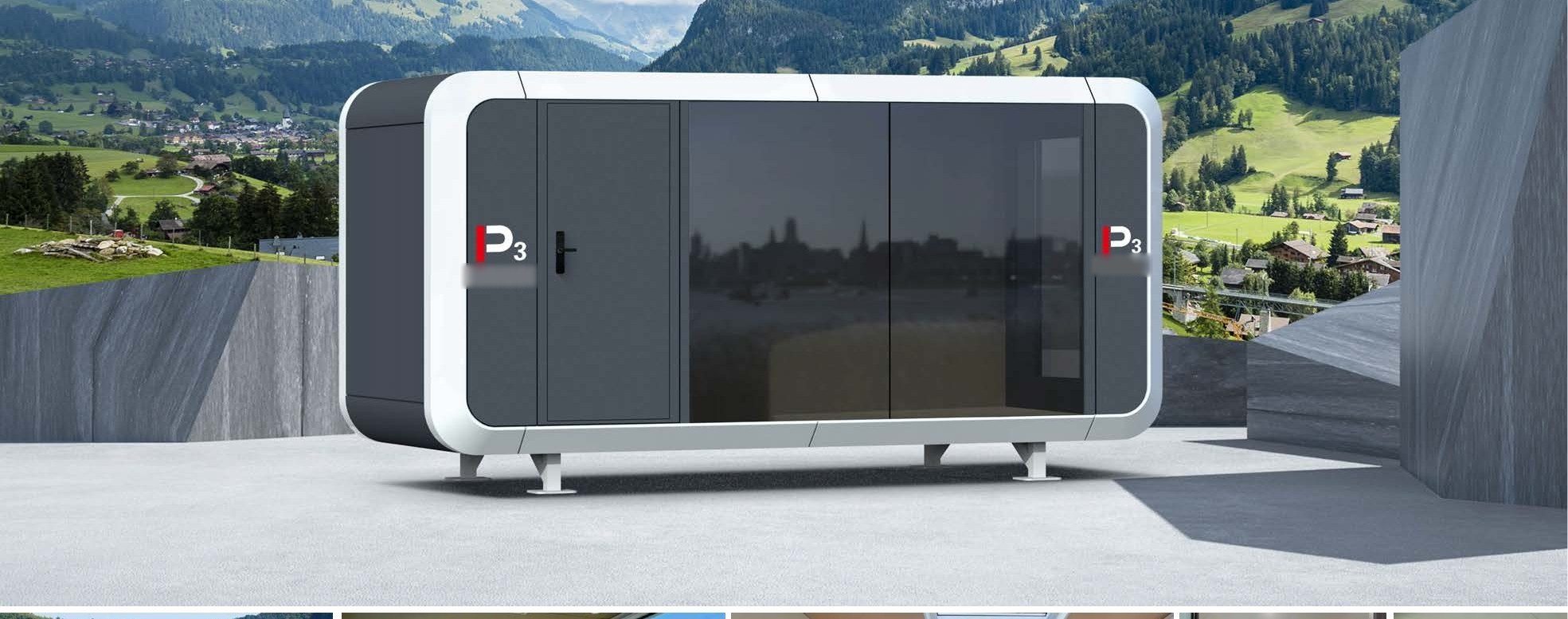 P3