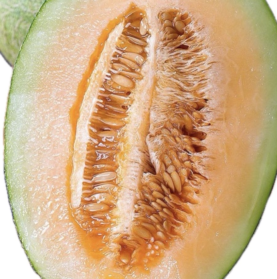 Inside our muskmelon: orange flesh, thin rind